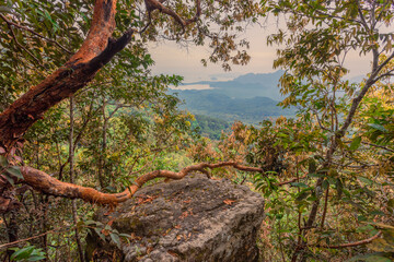 Natural background of a large reservoir in Krabi,Thailand(Nong Thale)atmosphere surrounded by mountains,trees of various sizes, blown through the wind,blurred cool during the day,a viewpoint of travel