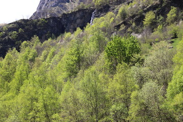 Pyrénées - France