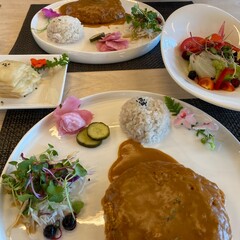 Asian food pork cutlet and sauce 