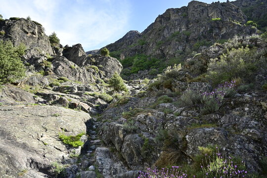 Ruta del ca&ntilde;on del rio Tera