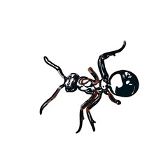 color sketch of an insect type with transparent background