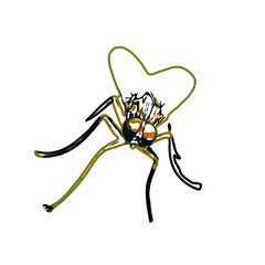 color sketch of an insect type with transparent background