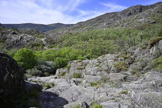Ruta del ca&ntilde;on del rio Tera