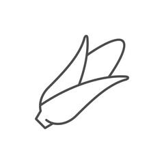 Corn or maize line outline icon
