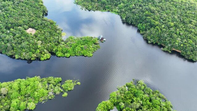 Amazonian Rainforest At Manaus Amazonas Brazil. Riverside River Background. Skyline Nature Ecosystem Riverine. Skyline Green Ecosystem Green Background Forest. Skyline Riverine Day Amazon Rainforest.