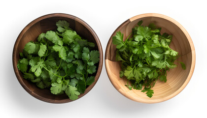 Fresh herbs in a wooden bowl: coriander, parsley, cilantro, and basil.