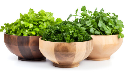 Fototapeta premium Fresh herbs in a wooden bowl: coriander, parsley, cilantro, and basil.