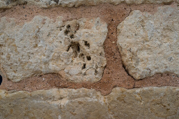 imagen detalle textura pared de piedras blancas con poros y grietas, y las juntas de cemento 