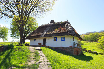 Fototapeta na wymiar Whitewashed house with a thatched roof from Podolia in skansen Pirogovo in Kyiv, Ukraine