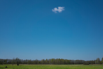 Samotna mała chmura nad lasem i łąką