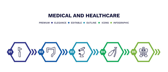 set of medical and healthcare thin line icons. medical and healthcare outline icons with infographic template. linear icons such as medical hammer tool, colon, microscope tool, gallbladder, p