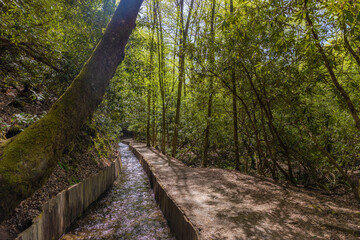 Mingus Mill in Swain County, North Carolina, USA
