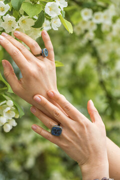 Two rings with stones, female hands on a background of a flowering tree