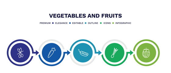 set of vegetables and fruits thin line icons. vegetables and fruits outline icons with infographic template. linear icons such as olive, horseradish, pea, spring onion, raspberry vector.