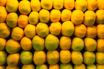 Yellow tangerines lie in a row on the counter