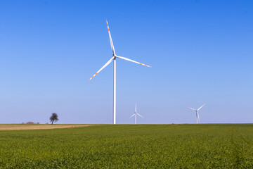 Fototapeta na wymiar A wind farm in Poland