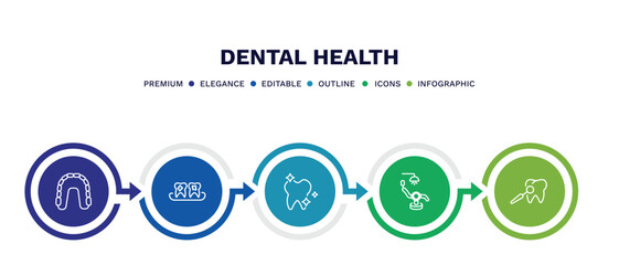 set of dental health thin line icons. dental health outline icons with infographic template. linear icons such as maxilla, plaque, shiny tooth, dental chair, care vector.
