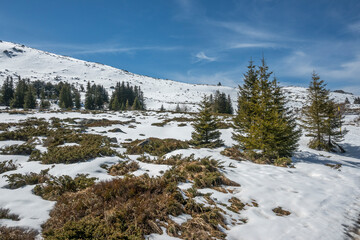 Winter landscape of Vitosha Mountain, Bulgaria