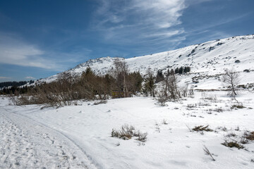 Winter landscape of Vitosha Mountain, Bulgaria