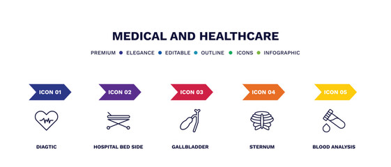 set of medical and healthcare thin line icons. medical and healthcare outline icons with infographic template. linear icons such as diagtic, hospital bed side view, gallbladder, sternum, blood