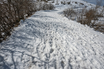 Winter landscape of Vitosha Mountain, Bulgaria