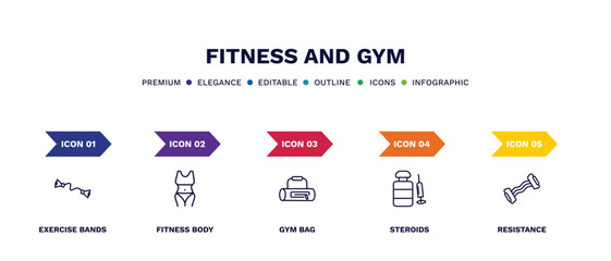 set of fitness and gym thin line icons. fitness and gym outline icons with infographic template. linear icons such as exercise bands, fitness body, gym bag, steroids, resistance vector.