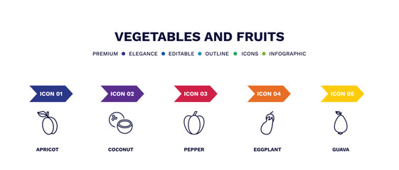 set of vegetables and fruits thin line icons. vegetables and fruits outline icons with infographic template. linear icons such as apricot, coconut, pepper, eggplant, guava vector.