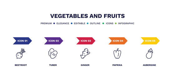 set of vegetables and fruits thin line icons. vegetables and fruits outline icons with infographic template. linear icons such as beetroot, tuber, ginger, paprika, aubergine vector.