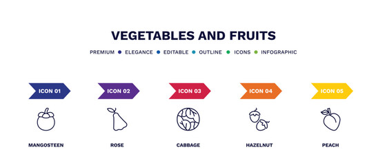 set of vegetables and fruits thin line icons. vegetables and fruits outline icons with infographic template. linear icons such as mangosteen, rose, cabbage, hazelnut, peach vector.