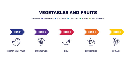 set of vegetables and fruits thin line icons. vegetables and fruits outline icons with infographic template. linear icons such as breast milk fruit, cauliflower, chili, blueberries, spinach vector.