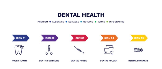 set of dental health thin line icons. dental health outline icons with infographic template. linear icons such as holed tooth, dentist scissors, dental probe, folder, brackets vector.