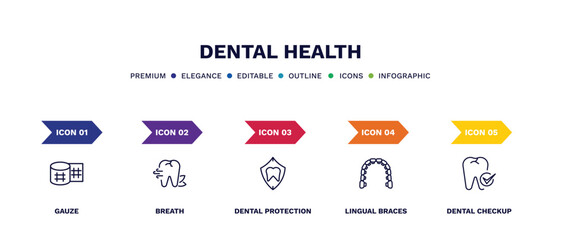 set of dental health thin line icons. dental health outline icons with infographic template. linear icons such as gauze, breath, dental protection, lingual braces, checkup vector.
