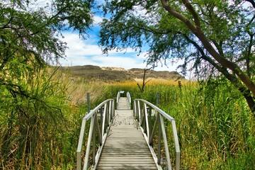 Under a partly cloudy blue sky in late April, a hiking trail crosses an aluminum bridge in a marshy desert oasis with mountains in the background at Big Bend National Park in Brewster County, TX.