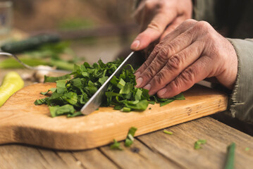 Human hands cutting wild garlic for salad