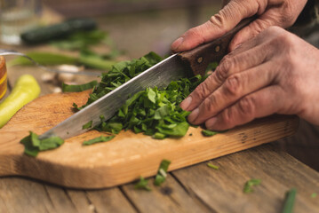 Human hands cutting wild garlic for salad