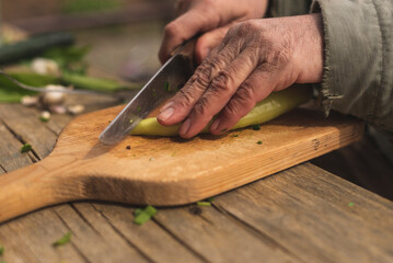 Human hands cutting wild garlic for salad