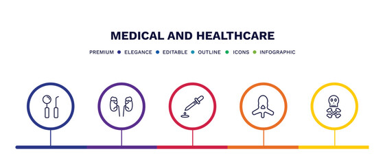 set of medical and healthcare thin line icons. medical and healthcare outline icons with infographic template. linear icons such as dentist tool, adrenal gland, dosage medical tool, vertebra, skull