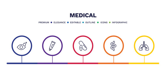 set of medical thin line icons. medical outline icons with infographic template. linear icons such as eye drops, ointment, drugs, intestine, lungs vector.