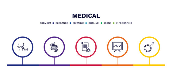 set of medical thin line icons. medical outline icons with infographic template. linear icons such as breast implant, intestines, prescription, ecg, male vector.