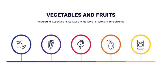 set of vegetables and fruits thin line icons. vegetables and fruits outline icons with infographic template. linear icons such as tangerine, celery, artichoke, plum, mason jar vector.