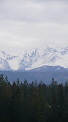 Fototapeta premium Tatry w śniegu góry mountains, zakopane 