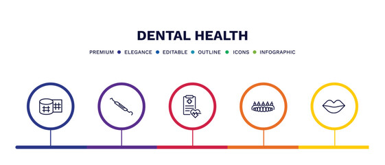 Fototapeta premium set of dental health thin line icons. dental health outline icons with infographic template. linear icons such as gauze, dental probe, health report, prosthesis, mouth vector.