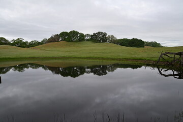 reflection of trees in the water