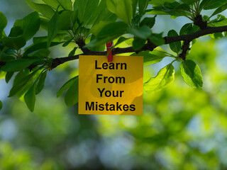 A yellow paper note with the phrase Learn From Your Mistakes on it attached to a tree branch with a...