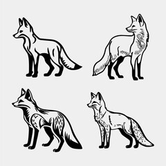 Fox silhouette. Set. Vector illustration isolated on white background