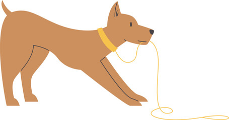 Dog Pulling Leash