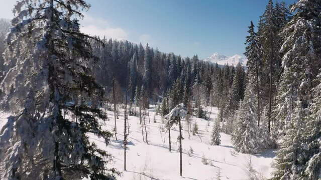 Chamrousse - Winter Landscape 11 - 4K - Color Graded