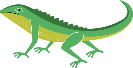 Lizard Reptile Animal