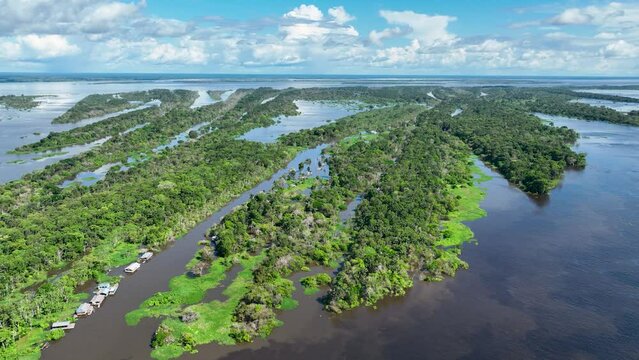 Amazonian Forest At Manaus Amazonas Brazil. Riverside Streamlet. Wildlife River Eco Stunning. Wildlife Jungle Eco Bay Travel. Wildlife Stunning Day Natural. Manaus Amazonas.