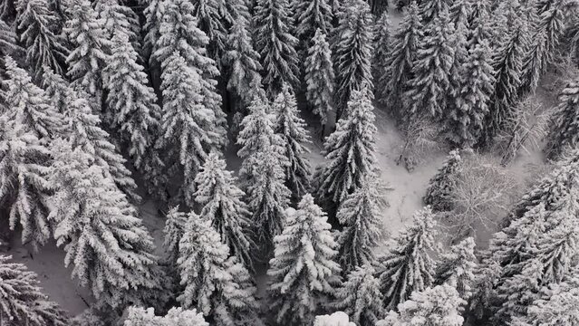 Chamrousse - Winter Landscape 05 - 4K - Color Graded